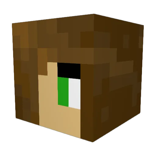 Senseless22 Minecraft avatar head, 3D render