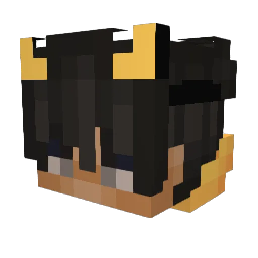 Sensenechse Minecraft avatar head, 3D render