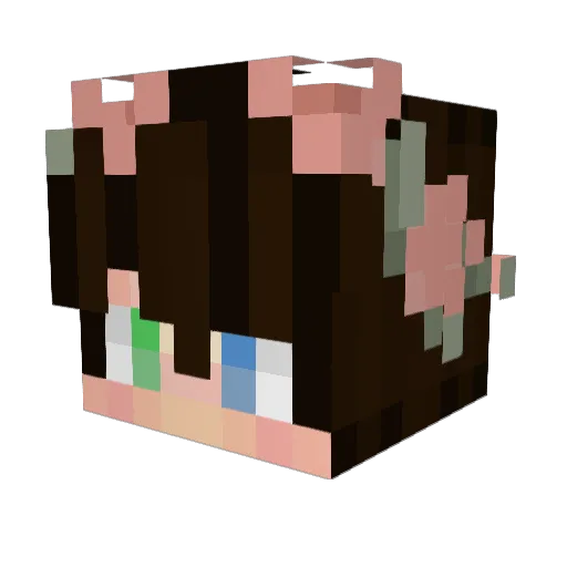 SensetiveFox Minecraft avatar head, 3D render