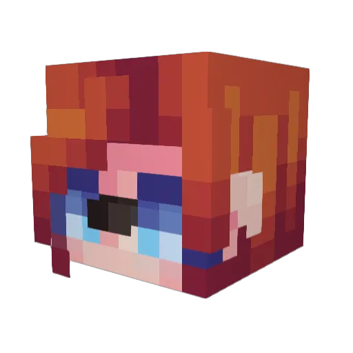 SensibleTomato14 Minecraft avatar head, 3D render
