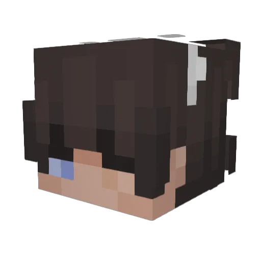 SensitiveTopic Minecraft avatar head, 3D render