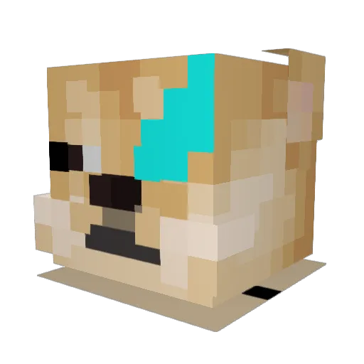 Sentair Minecraft avatar head, 3D render
