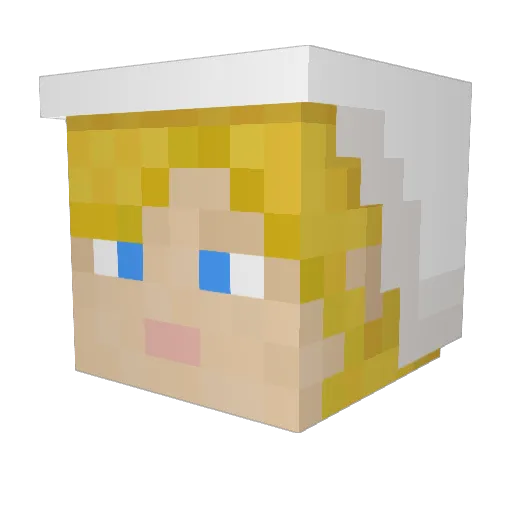 Sentakun Minecraft avatar head, 3D render