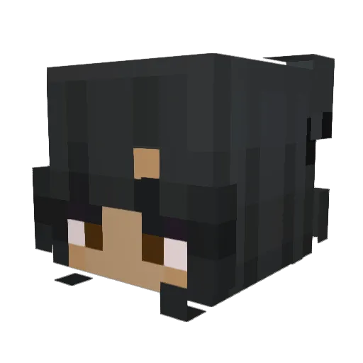 Sentient__Cactus Minecraft avatar head, 3D render