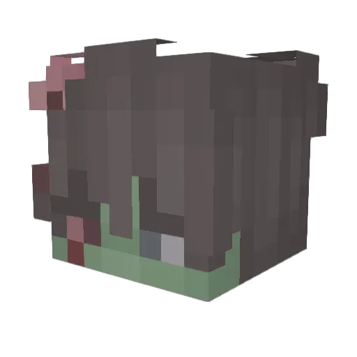 Sentimental Minecraft avatar head, 3D render