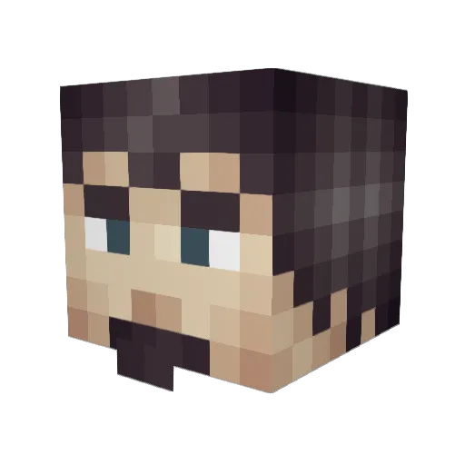 SentinalNico Minecraft avatar head, 3D render