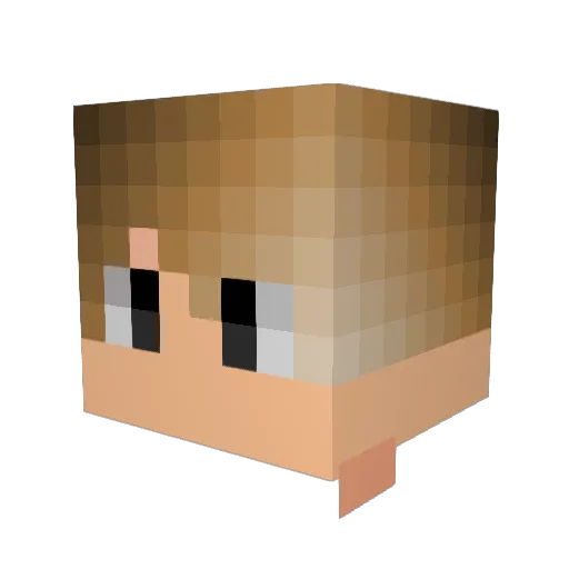 Sentinel587 Minecraft avatar head, 3D render