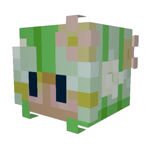 SentinelRain Minecraft avatar head, 3D render