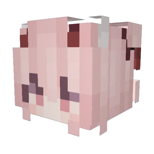 Sentlla Minecraft avatar head, 3D render