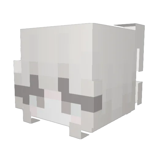 Senz0309 Minecraft avatar head, 3D render