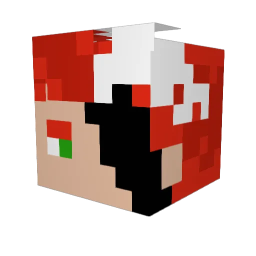 SenzonYT Minecraft avatar head, 3D render
