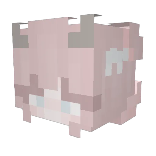 Seo_se_ra Minecraft avatar head, 3D render