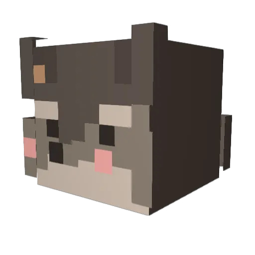 SeokHwan05 Minecraft avatar head, 3D render