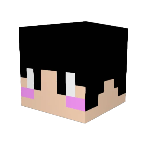 SeokJun7424 Minecraft avatar head, 3D render