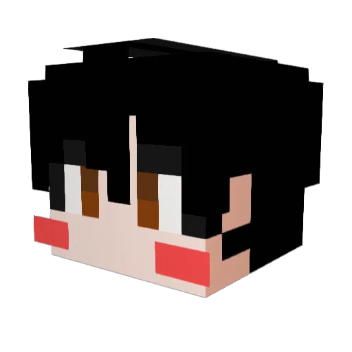 Seoldin_ Minecraft avatar head, 3D render