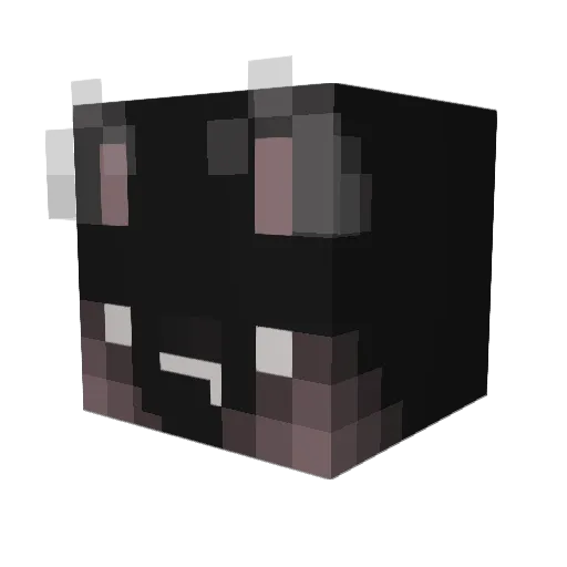 Seolgi__ Minecraft avatar head, 3D render