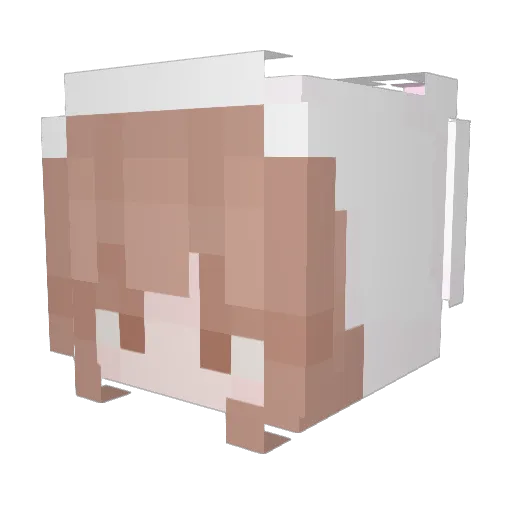 Seon_S2 Minecraft avatar head, 3D render