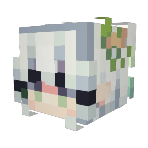 Seong_B1ng Minecraft avatar head, 3D render