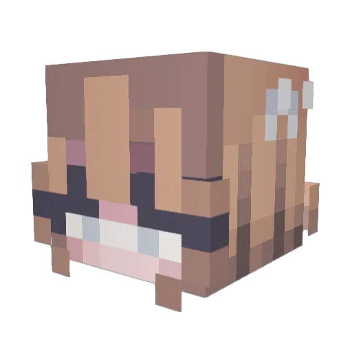 Seonghwazz Minecraft avatar head, 3D render