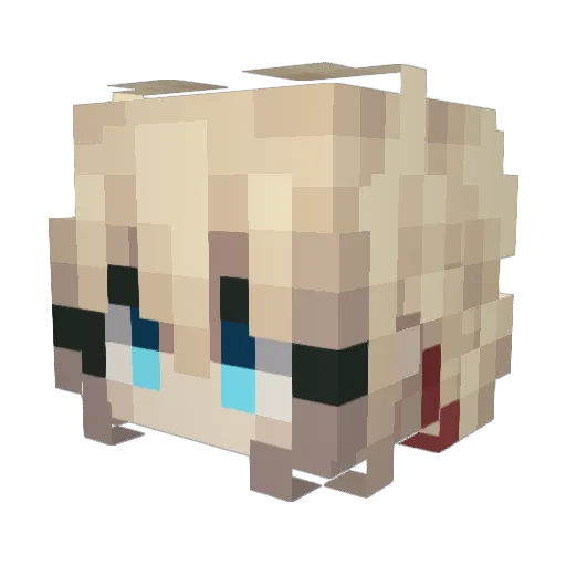 Seow0117 Minecraft avatar head, 3D render