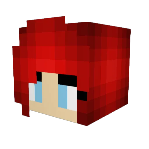 Seperate890 Minecraft avatar head, 3D render