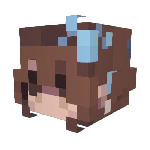 Sepia4144 Minecraft avatar head, 3D render