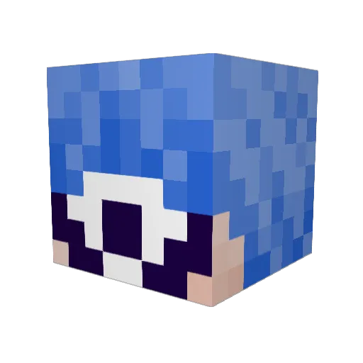 Sepiidaea Minecraft avatar head, 3D render