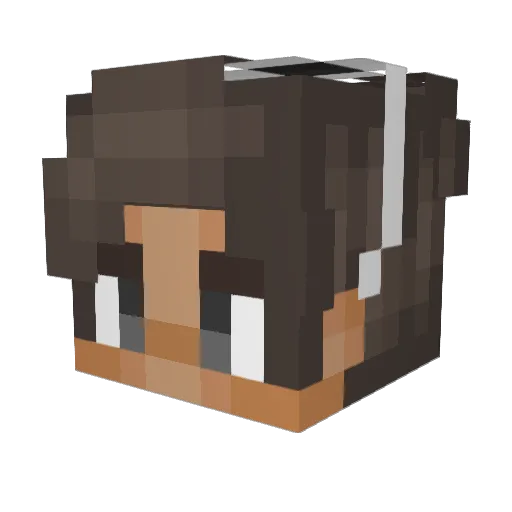 SeppRaket Minecraft avatar head, 3D render