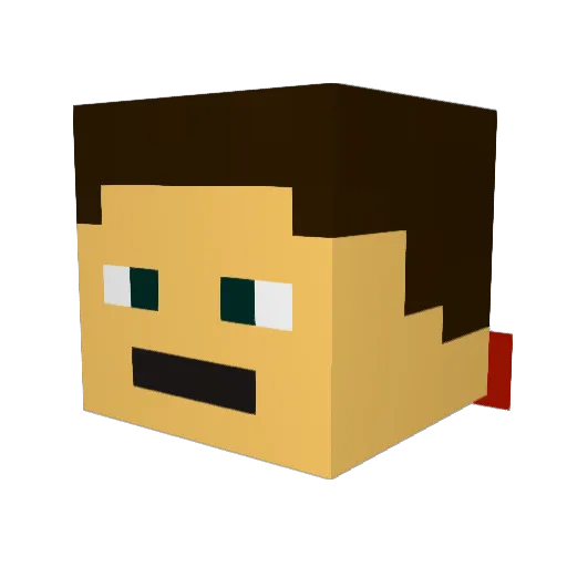 Seppeli88 Minecraft avatar head, 3D render