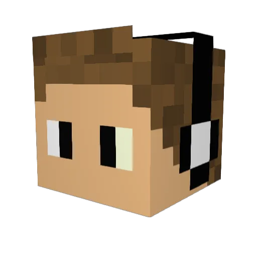 Seppevmb Minecraft avatar head, 3D render
