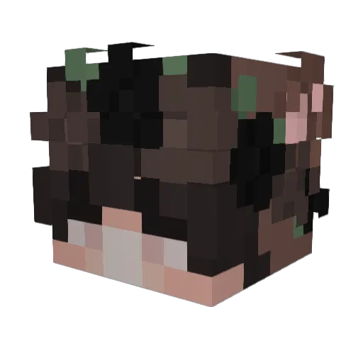 Seppin_ Minecraft avatar head, 3D render