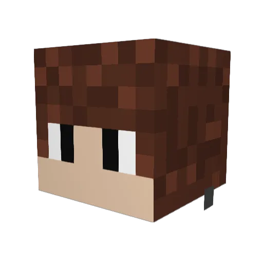 Seppo56 Minecraft avatar head, 3D render