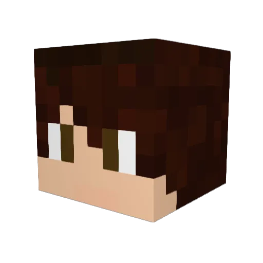 Seppo59 Minecraft avatar head, 3D render