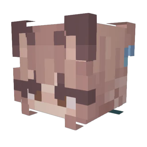 SepticFish Minecraft avatar head, 3D render