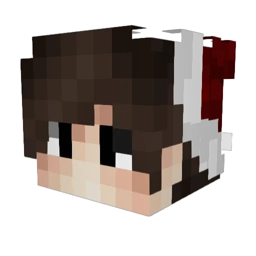 Ser23Evd Minecraft avatar head, 3D render