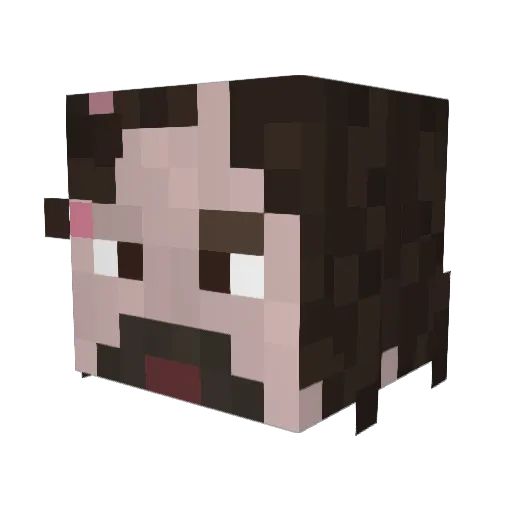 SerSandor Minecraft avatar head, 3D render