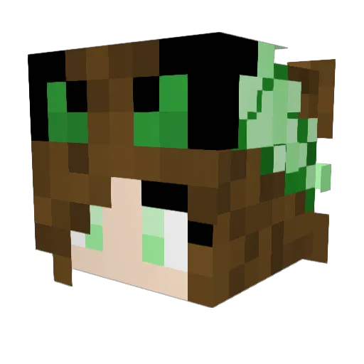 Ser_Ari Minecraft avatar head, 3D render