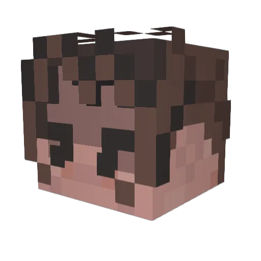 Ser_en Minecraft avatar head, 3D render