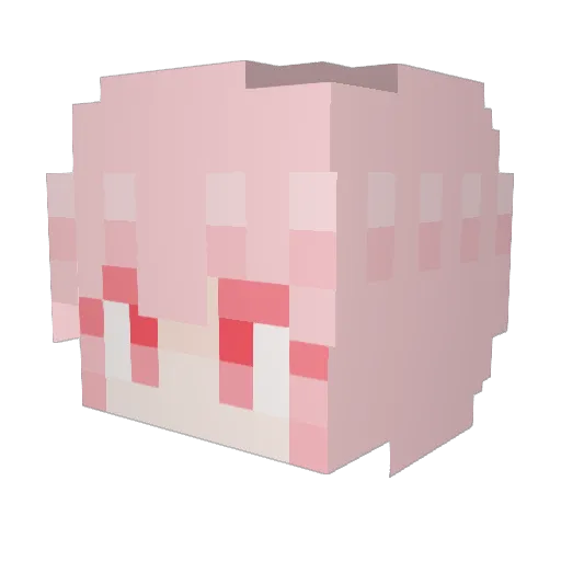 Sera13 Minecraft avatar head, 3D render