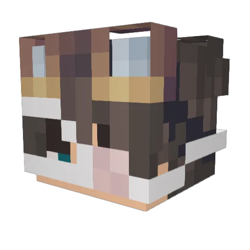 Sera2N Minecraft avatar head, 3D render