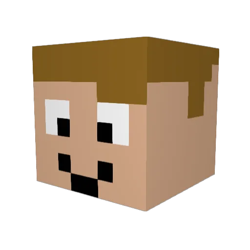 Seracto13 Minecraft avatar head, 3D render