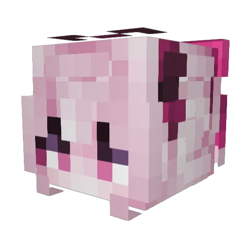 Seraphile Minecraft avatar head, 3D render