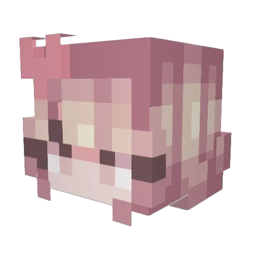 SeraphinaTAS Minecraft avatar head, 3D render