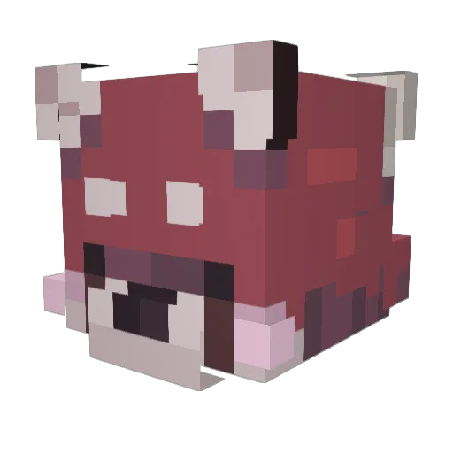 Seraphyxis Minecraft avatar head, 3D render