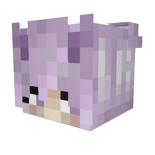 Seravyn Minecraft avatar head, 3D render