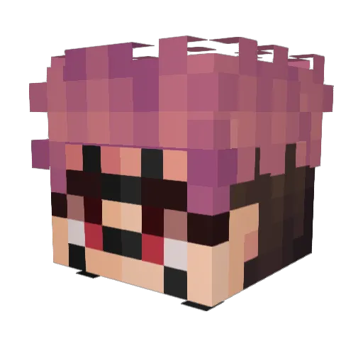 Serber0 Minecraft avatar head, 3D render