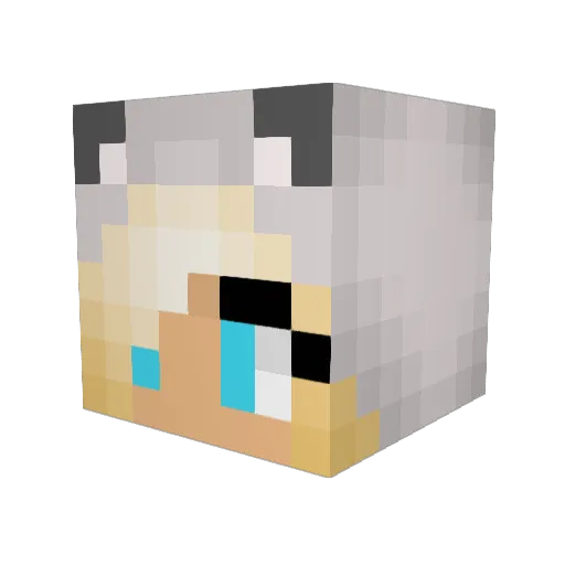 Serchi573 Minecraft avatar head, 3D render