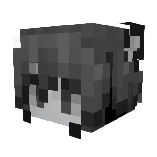 Serein020 Minecraft avatar head, 3D render