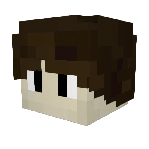 Seren541 Minecraft avatar head, 3D render