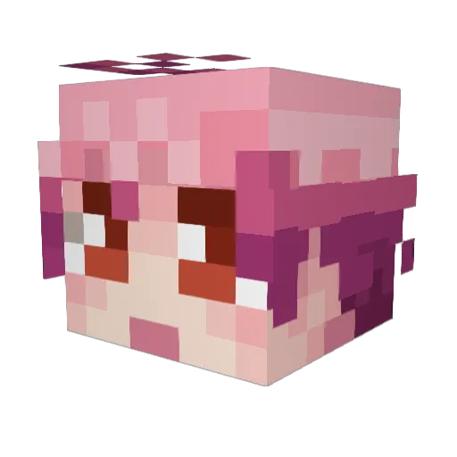 Serenard Minecraft avatar head, 3D render